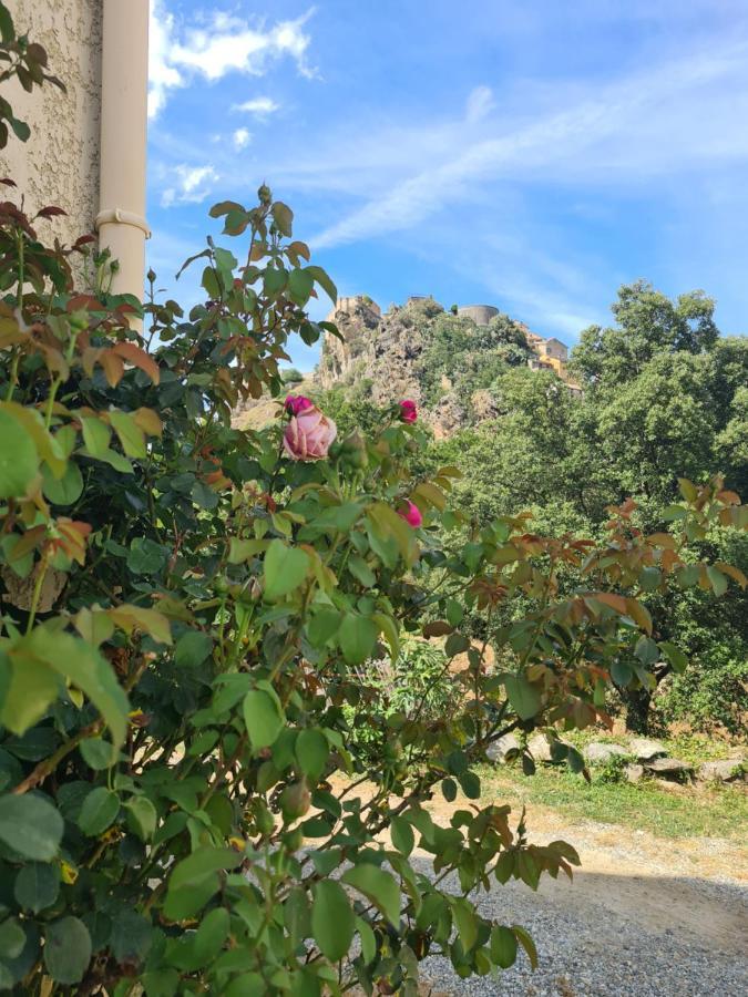 Résidence e Scaravaglie Corte (Corsica) Exterior foto